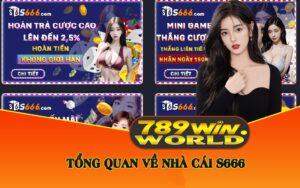 Tổng Quan Về Nhà Cái S666